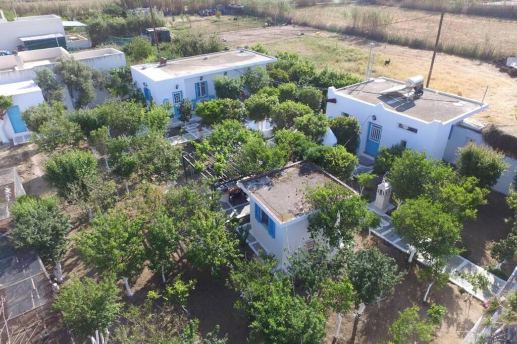 Apartamento Perivoli 4-Chora Agkidia Exterior foto