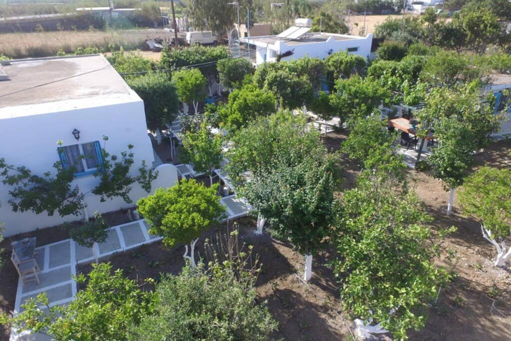 Apartamento Perivoli 4-Chora Agkidia Exterior foto