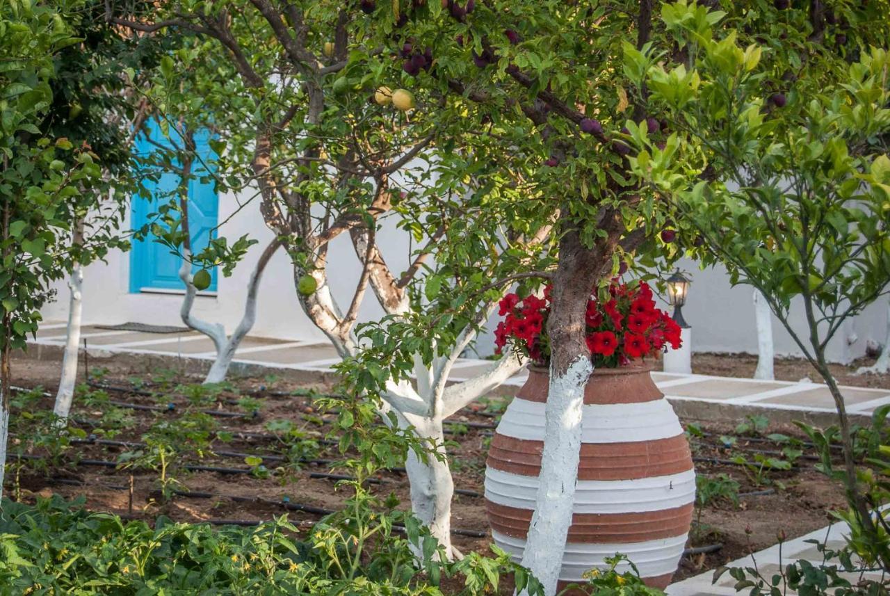 Apartamento Perivoli 4-Chora Agkidia Exterior foto